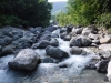 DSCF7631