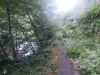 DSCF7822