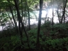 DSCF7823