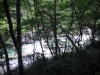 DSCF7824