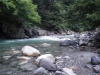 DSCF7825