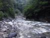 DSCF7826