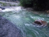 DSCF7837