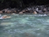 DSCF7850