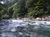 DSCF7872