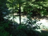 DSCF7892