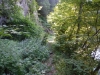 DSCF7894