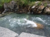 DSCF7903