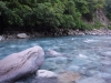 DSCF7917