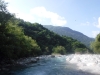 DSCF7958