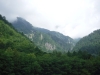 DSCF7965