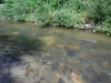 DSCF7673
