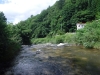DSCF7674