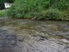 DSCF7677