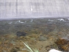 DSCF7705