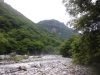DSCF7724