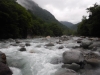 DSCF7729