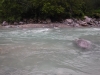 DSCF7738