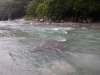 DSCF7751