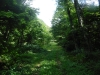 DSCF7765