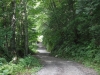 DSCF7767