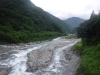 DSCF7133
