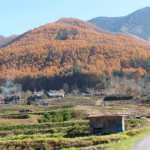 奈川里山の紅葉